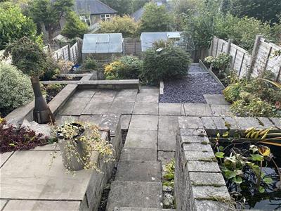 Picture 10